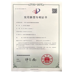 實(shí)用新型專利 (5)